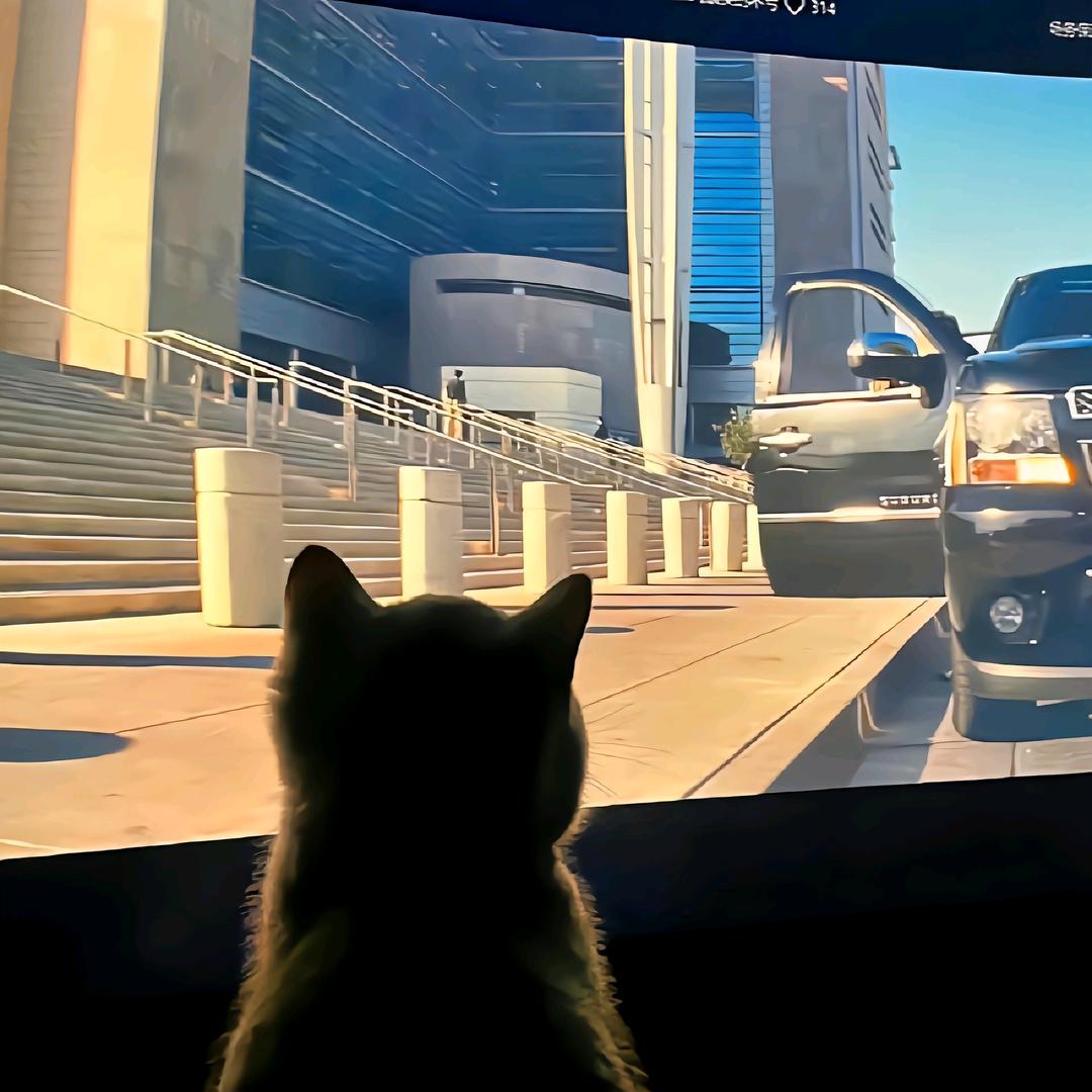 情绪总在心尖上