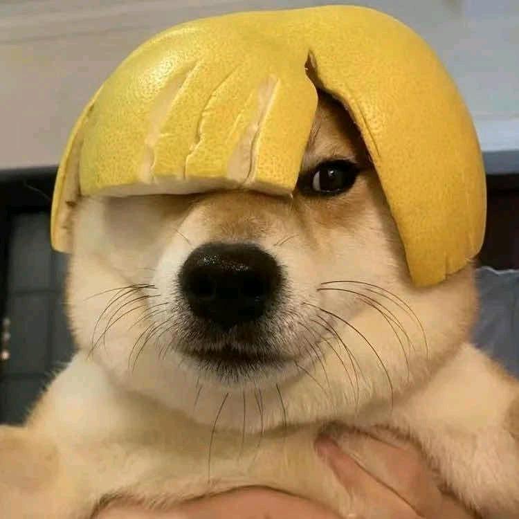 带我出去玩