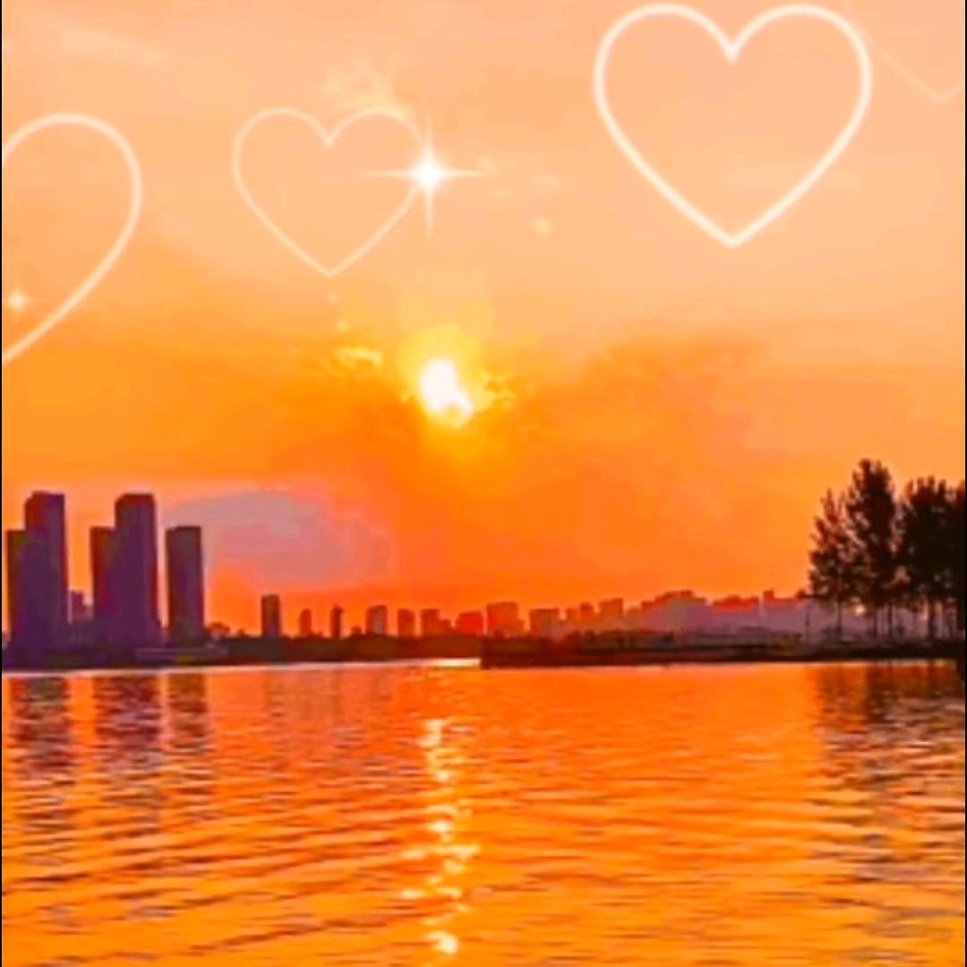 夕阳红