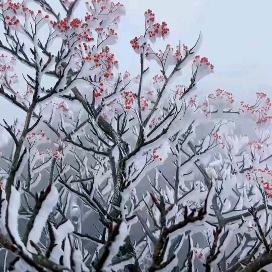 冬天的雨雪