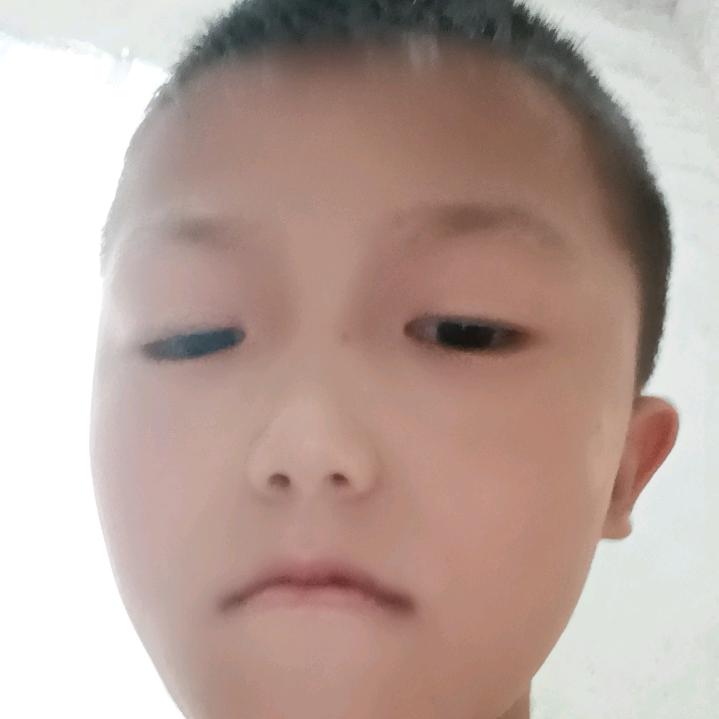尚佳旗