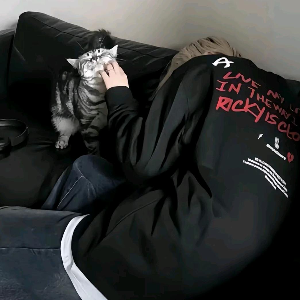 小节（元梦之星）