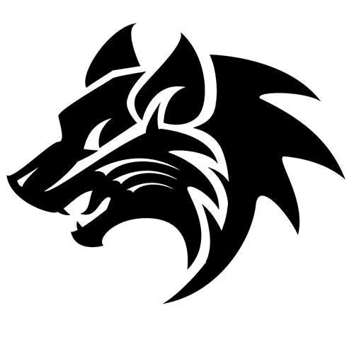 Tkccᝰ⚡ꫛꫀ毒牙⚡🐺ꪝ•⚘：