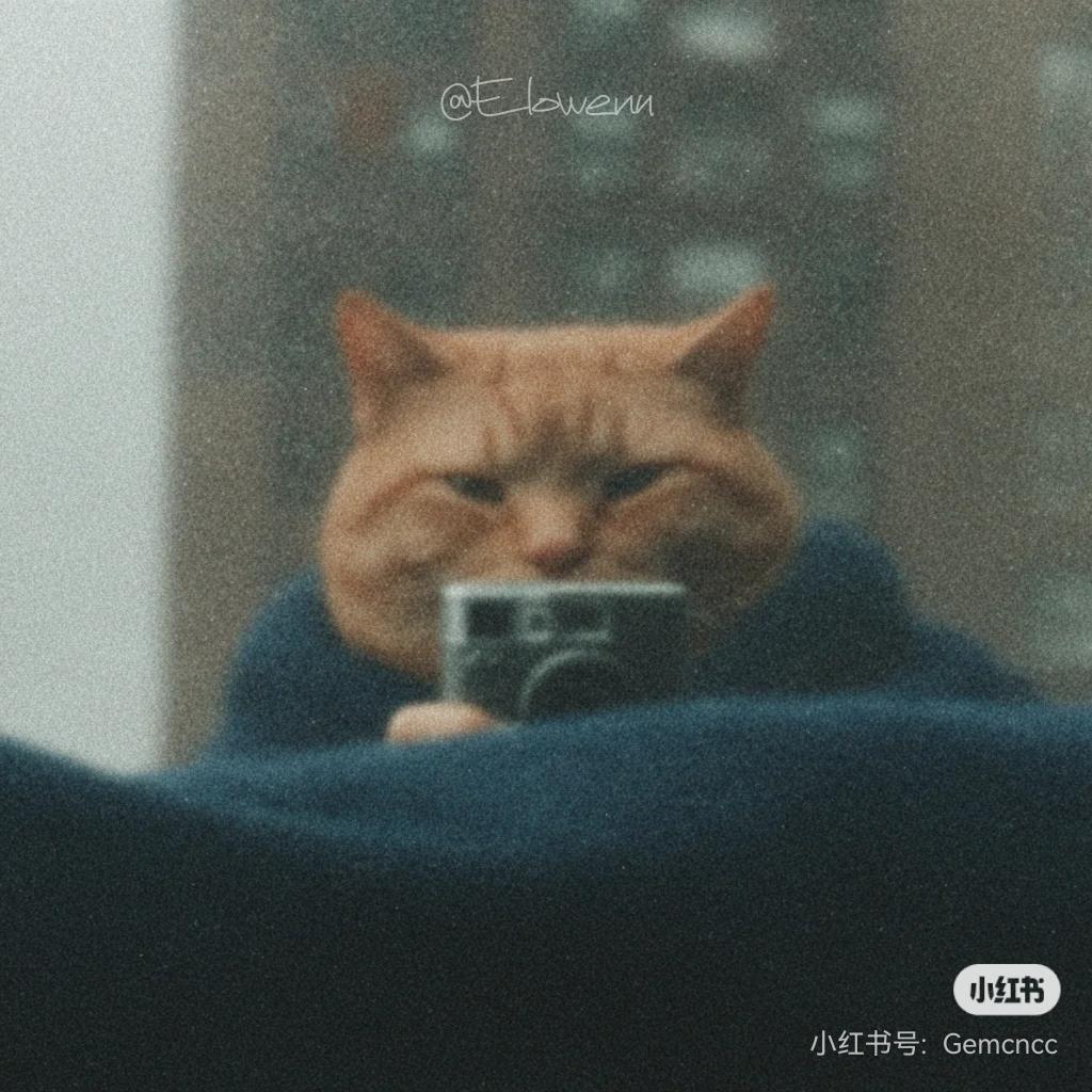 杰瑞拍照日记📷（可互勉）