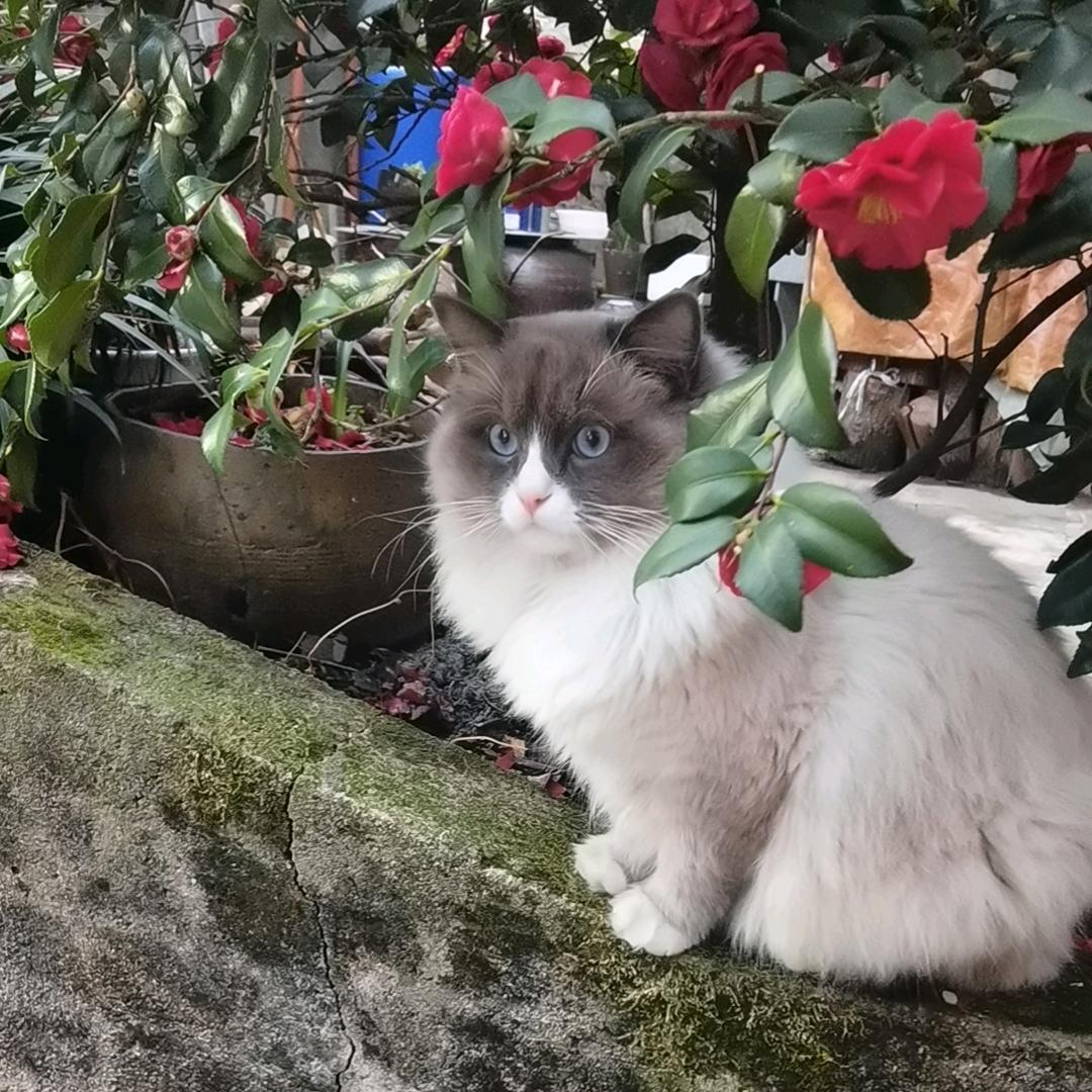 小七月