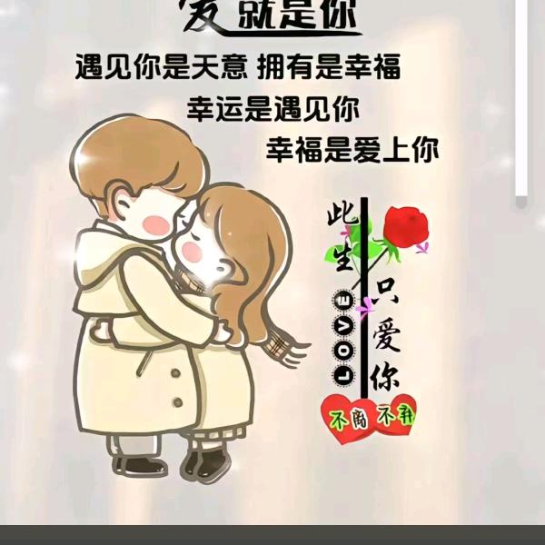 不离不弃