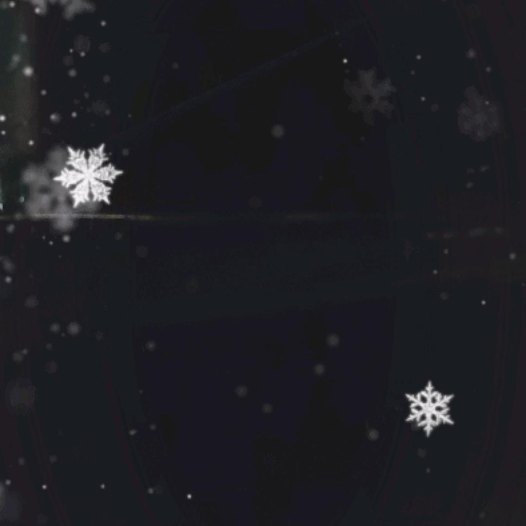 快PK输了把A与C之间的毛拔俩根