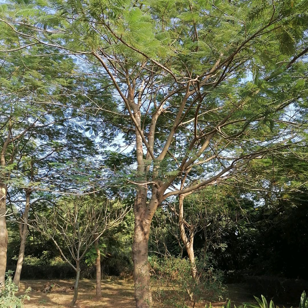 向东