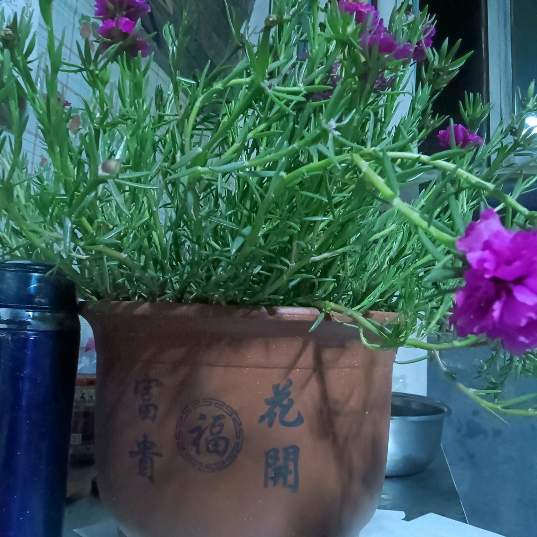 快乐的男人