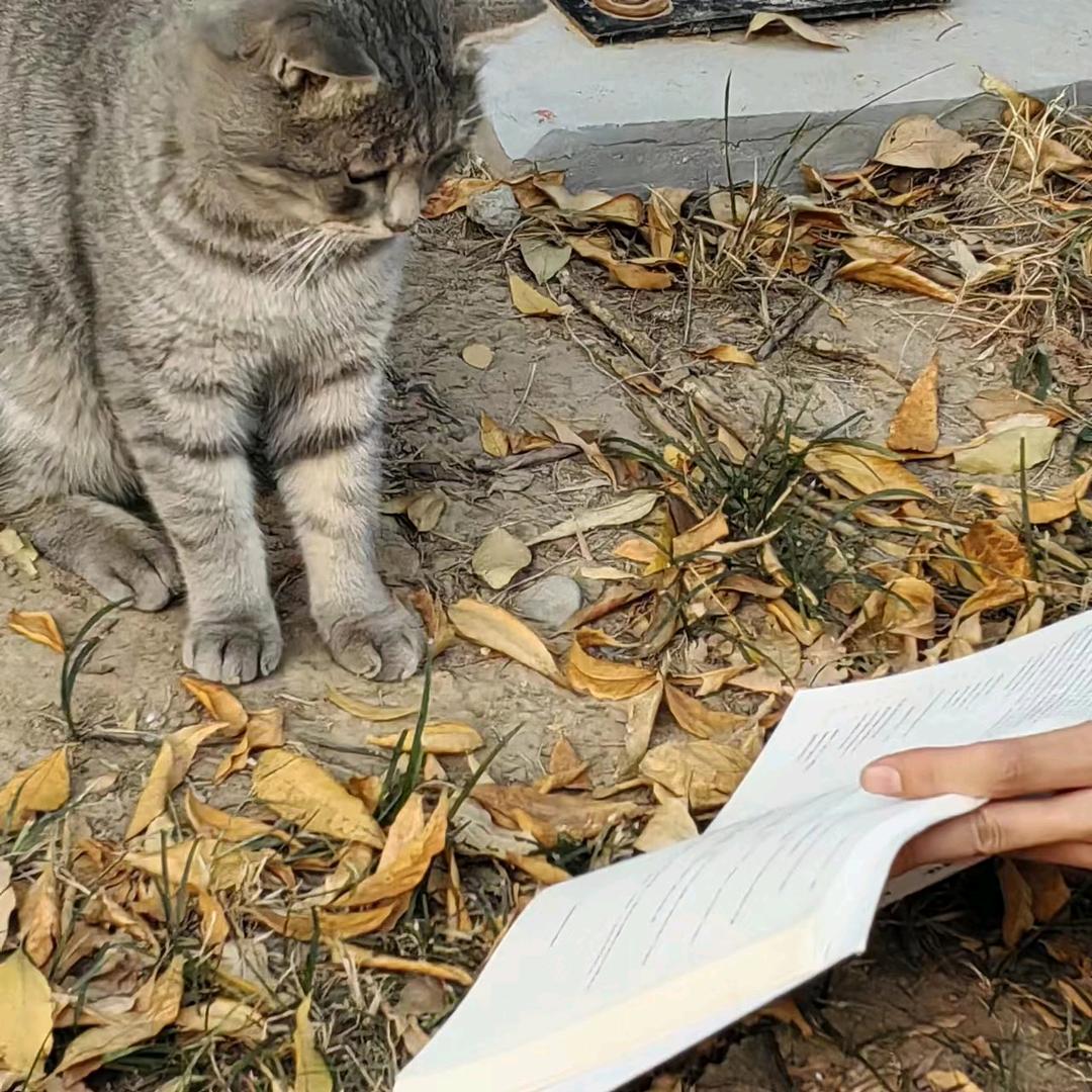 隔壁老王叫小二