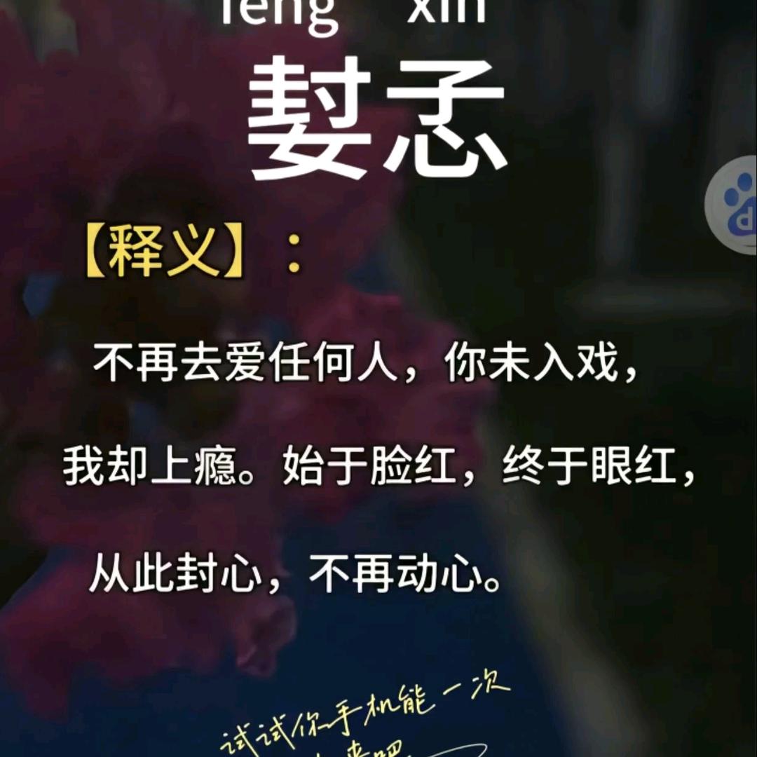 小玫瑰