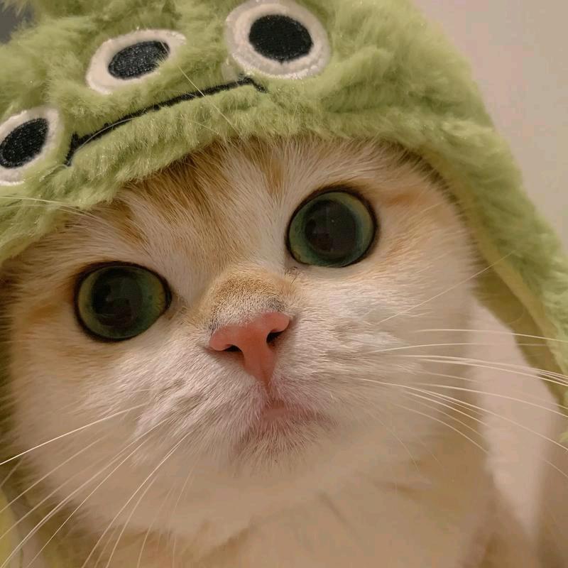 Hikio