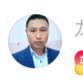龙平