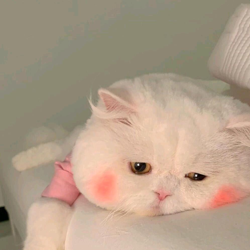 小巫婆