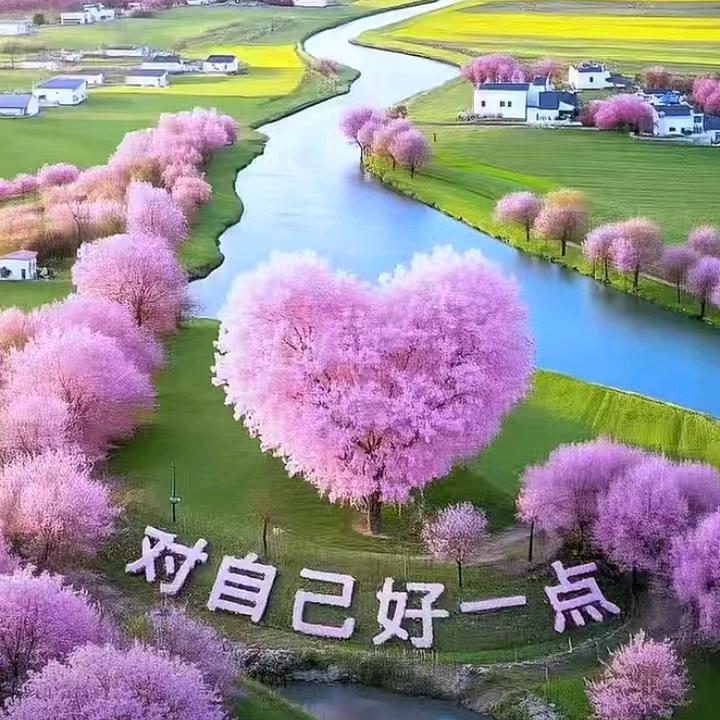 🈵🈵的爱❤️大叔