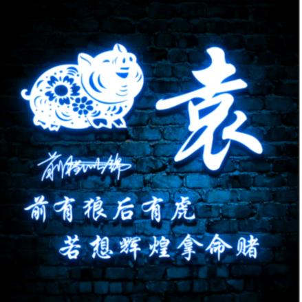砀山瓜果蔬菜基地伟哥