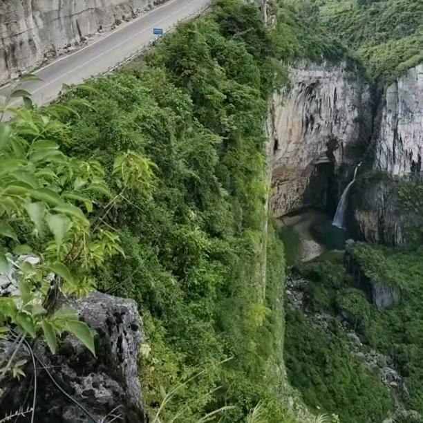 （＞ｙ＜）哈喽呀