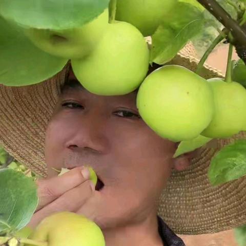 克华庄园（大理共享农场）免费驻车营地