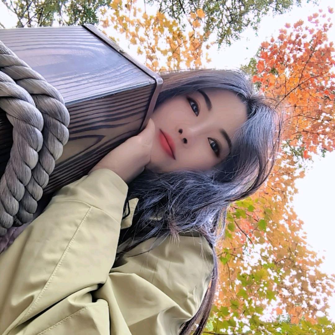 ◔.̮◔一枕清风✨