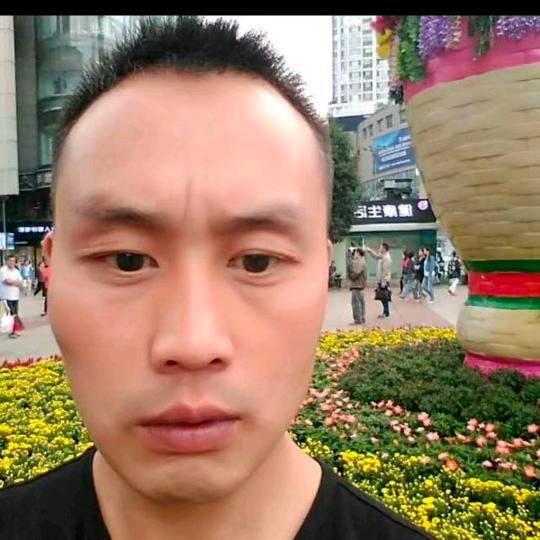 光头哥不断播首播