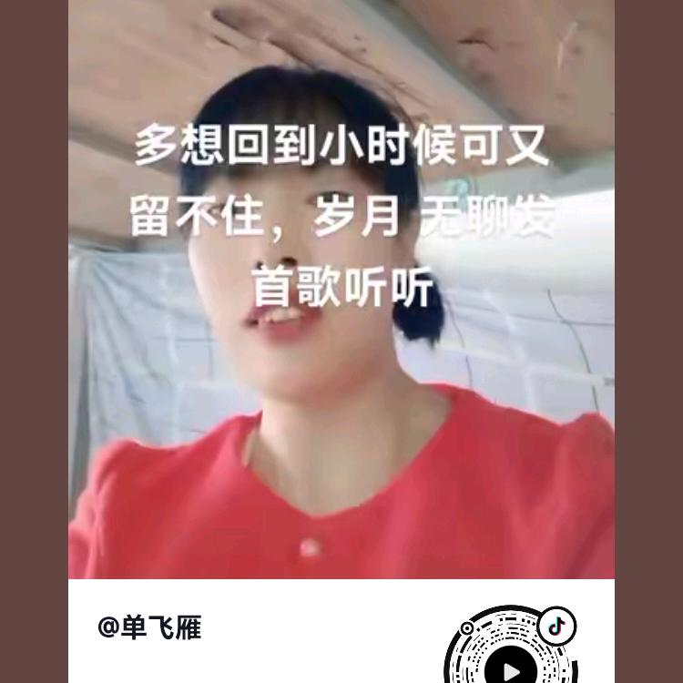 雪中望月