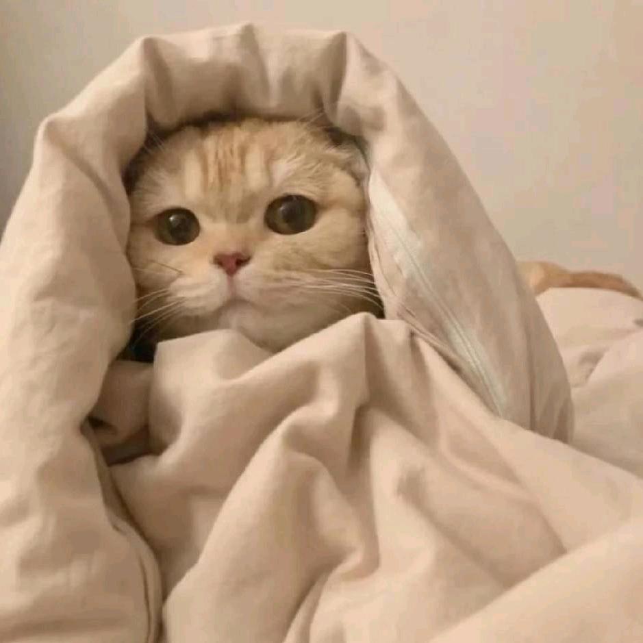 一片小透明