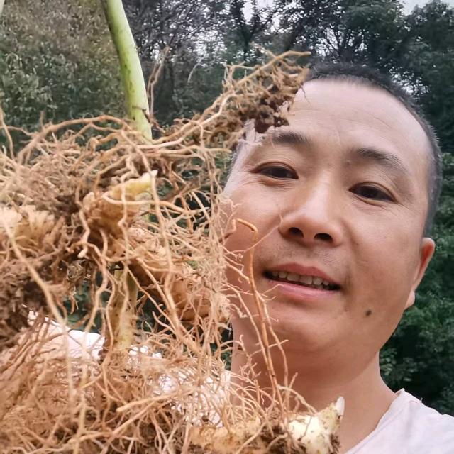 养臻滋补营养专营店