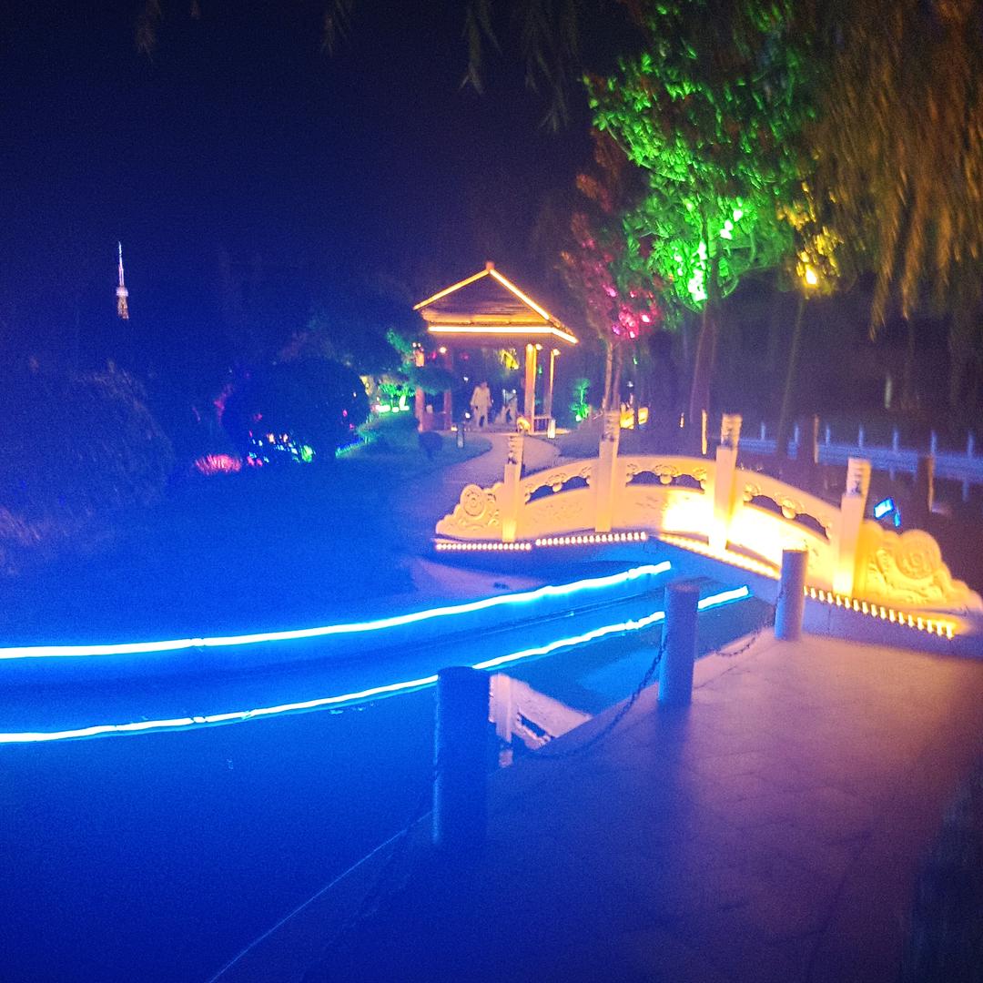 一枝梅