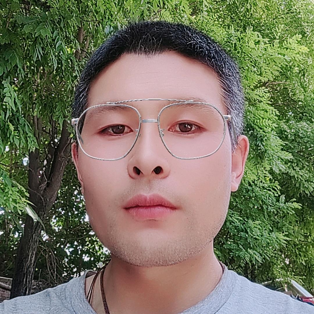 会飞的鱼