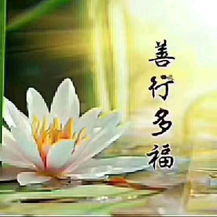 遇见感恩