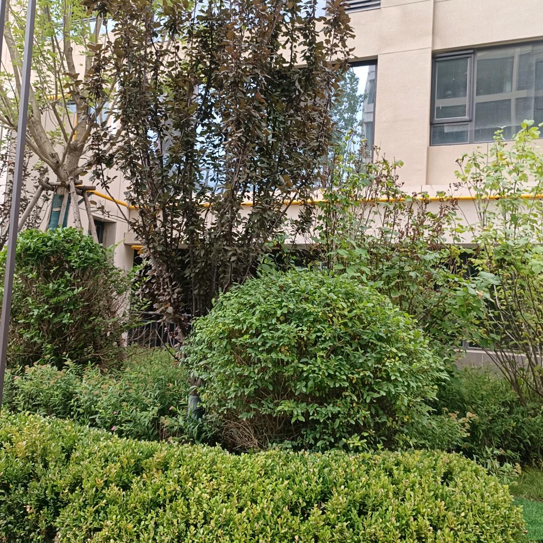 吉胜天猫优品李生霞