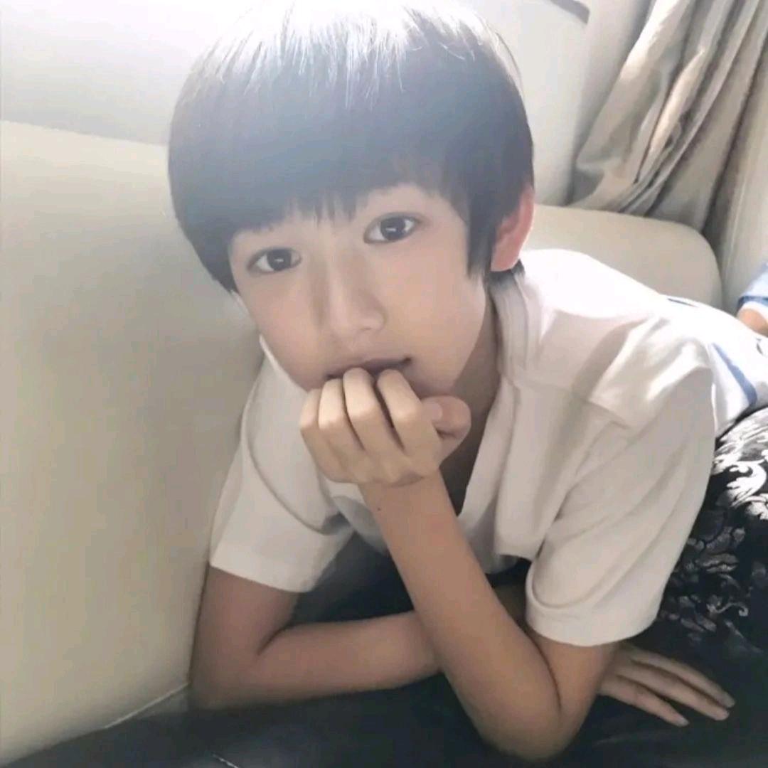 小狗脆脆脆