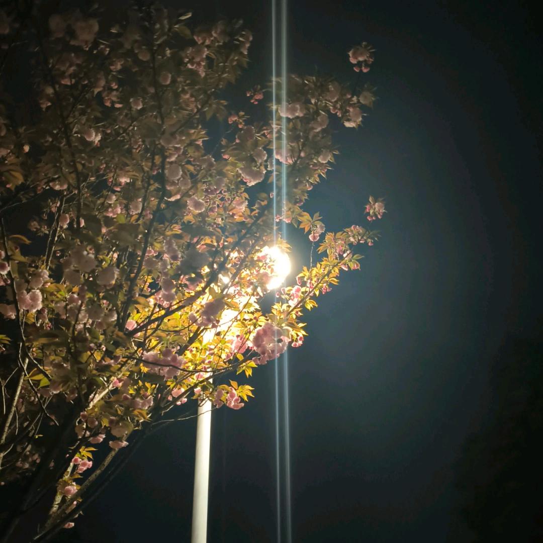 翠