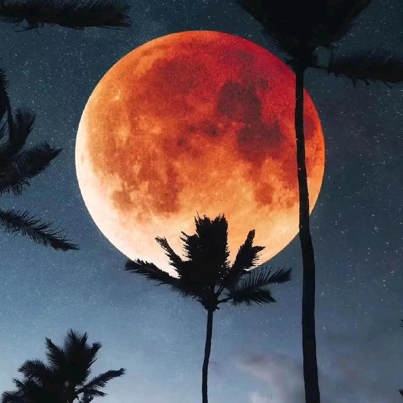 宏哥演艺-乐队，唢呐锣鼓队