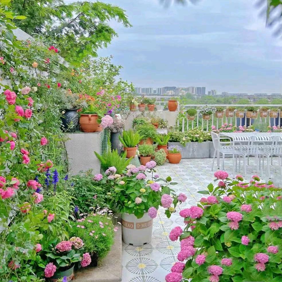 花洲枫叶红看房