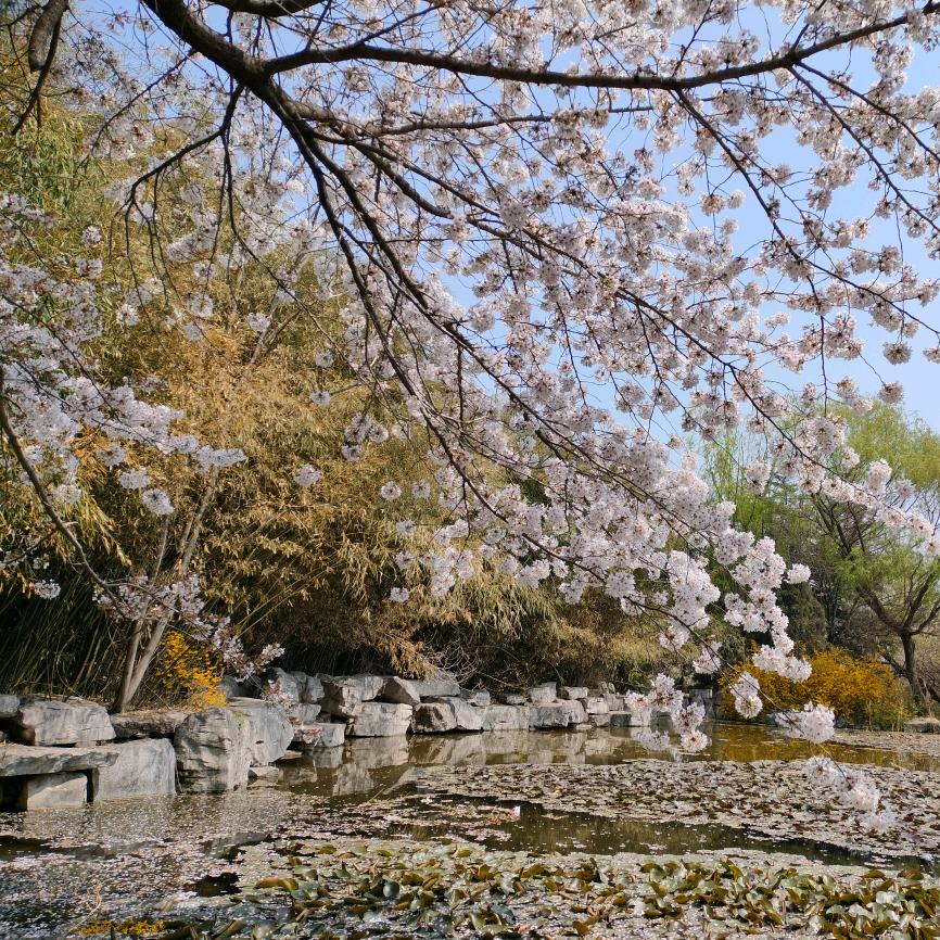 德朴惠客折扣仓小徐