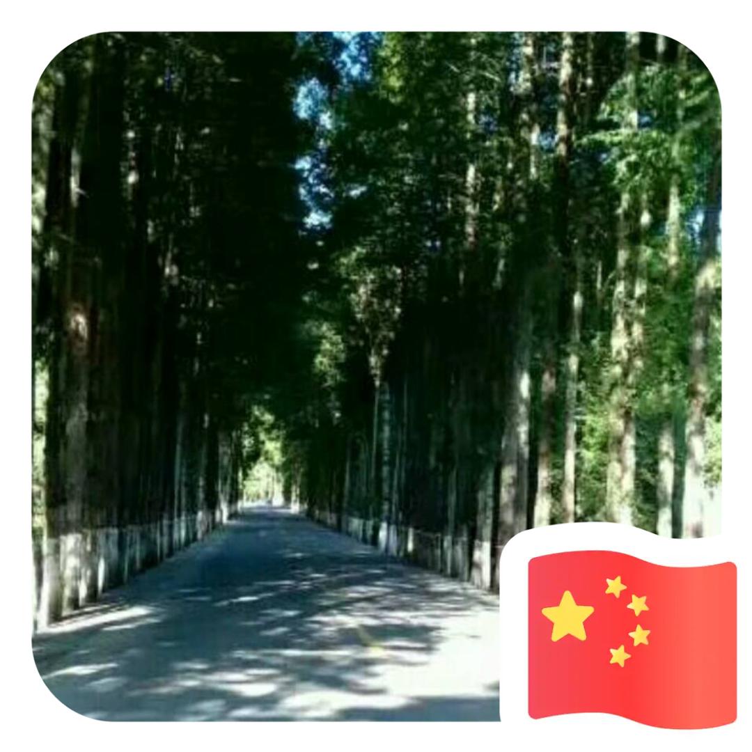 毛坝超越汽车
