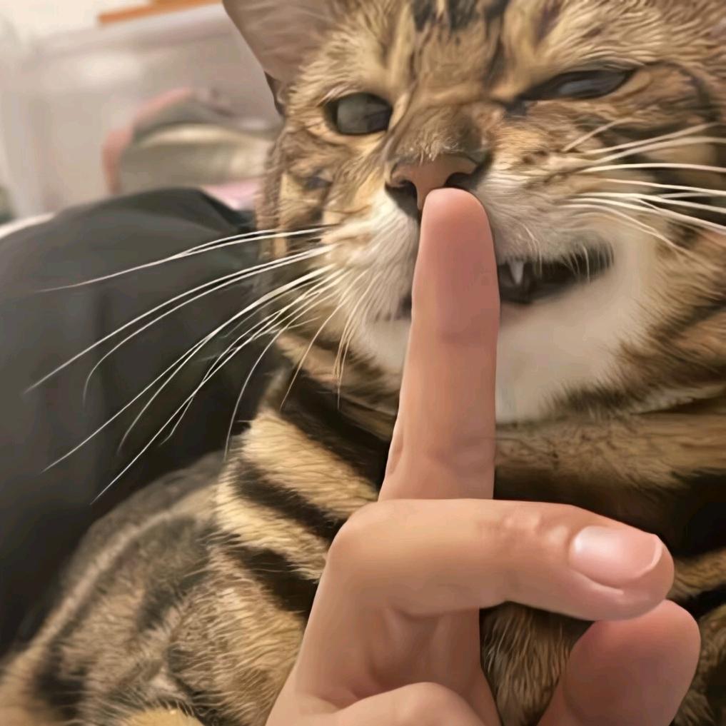 行一