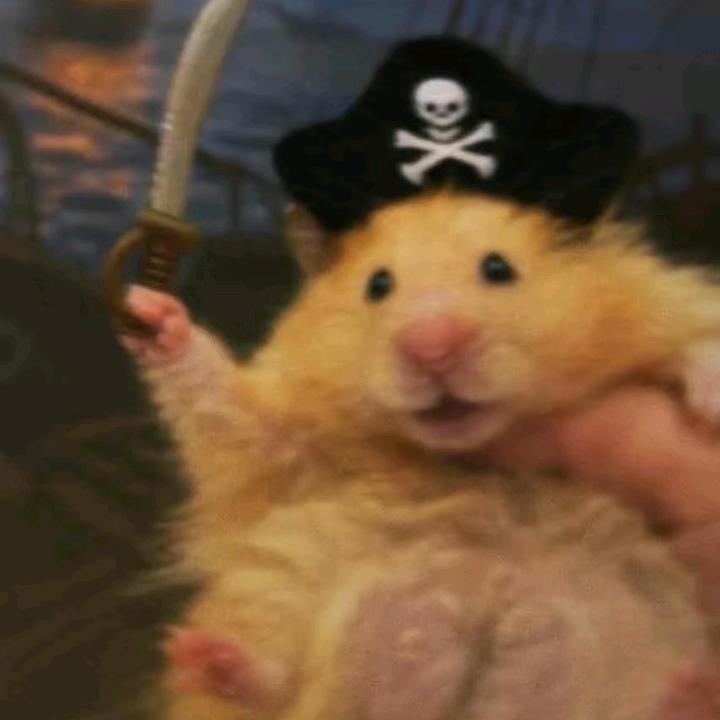 ⏳갑판 여공🏴‍☠️