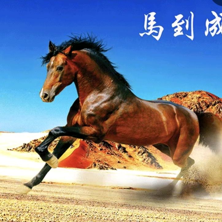 笃行致远🇨🇳