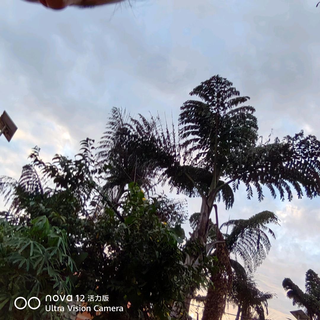 忘掉过去重新开始。