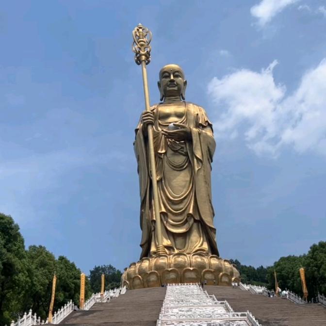 所求皆所愿