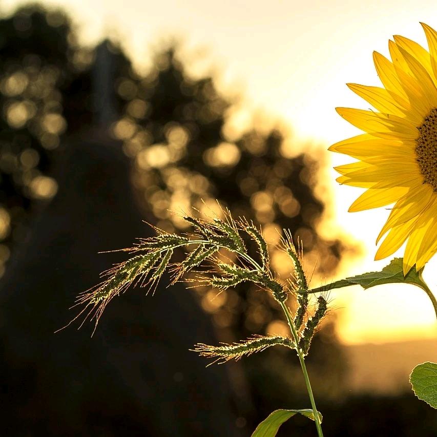 ！！！！！！！