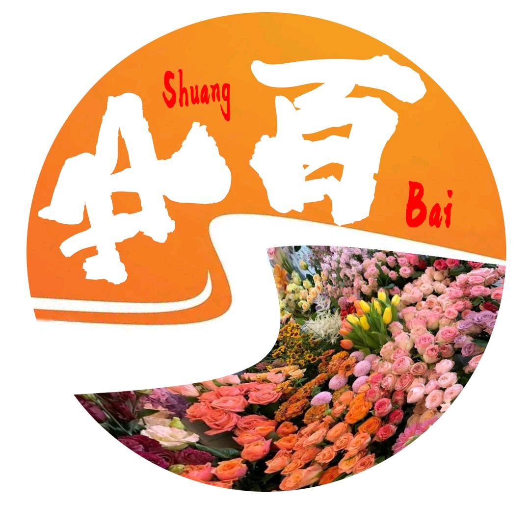 宿城区双百艺术团（将军里文艺理论宣讲队）