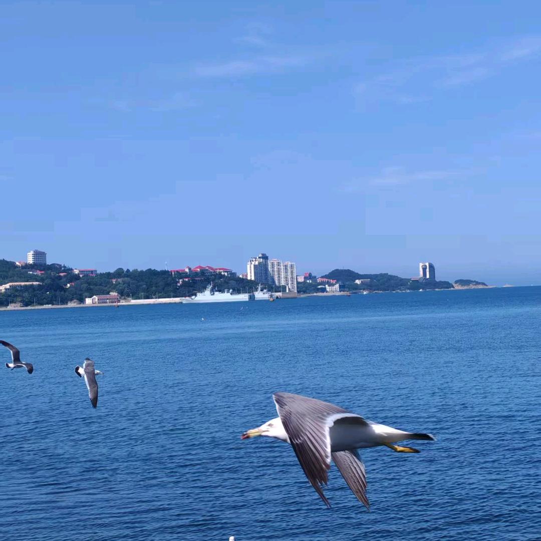 浅笑⊹꙳ ˶˙ᵕ˙˶ ⊹꙳不语