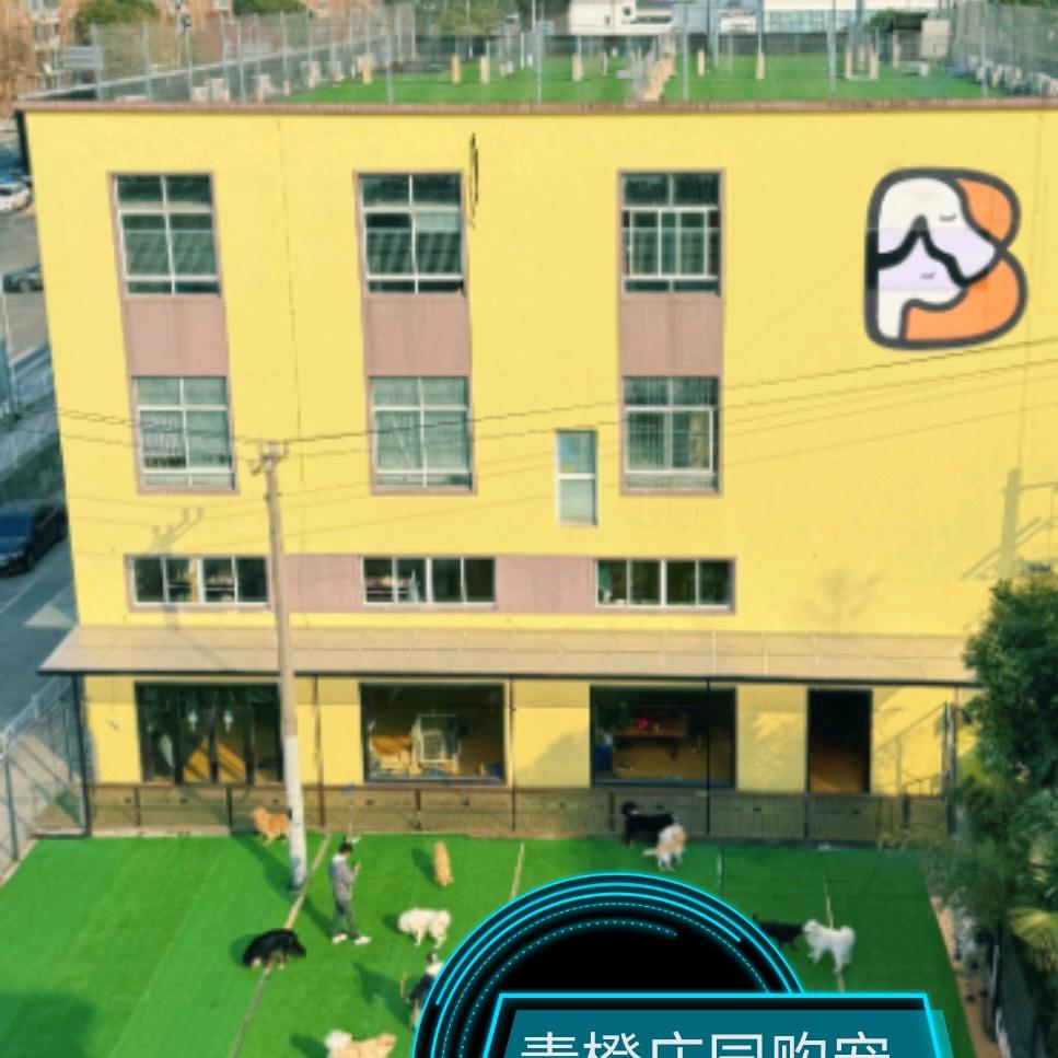 青橙庄园萌宠专售