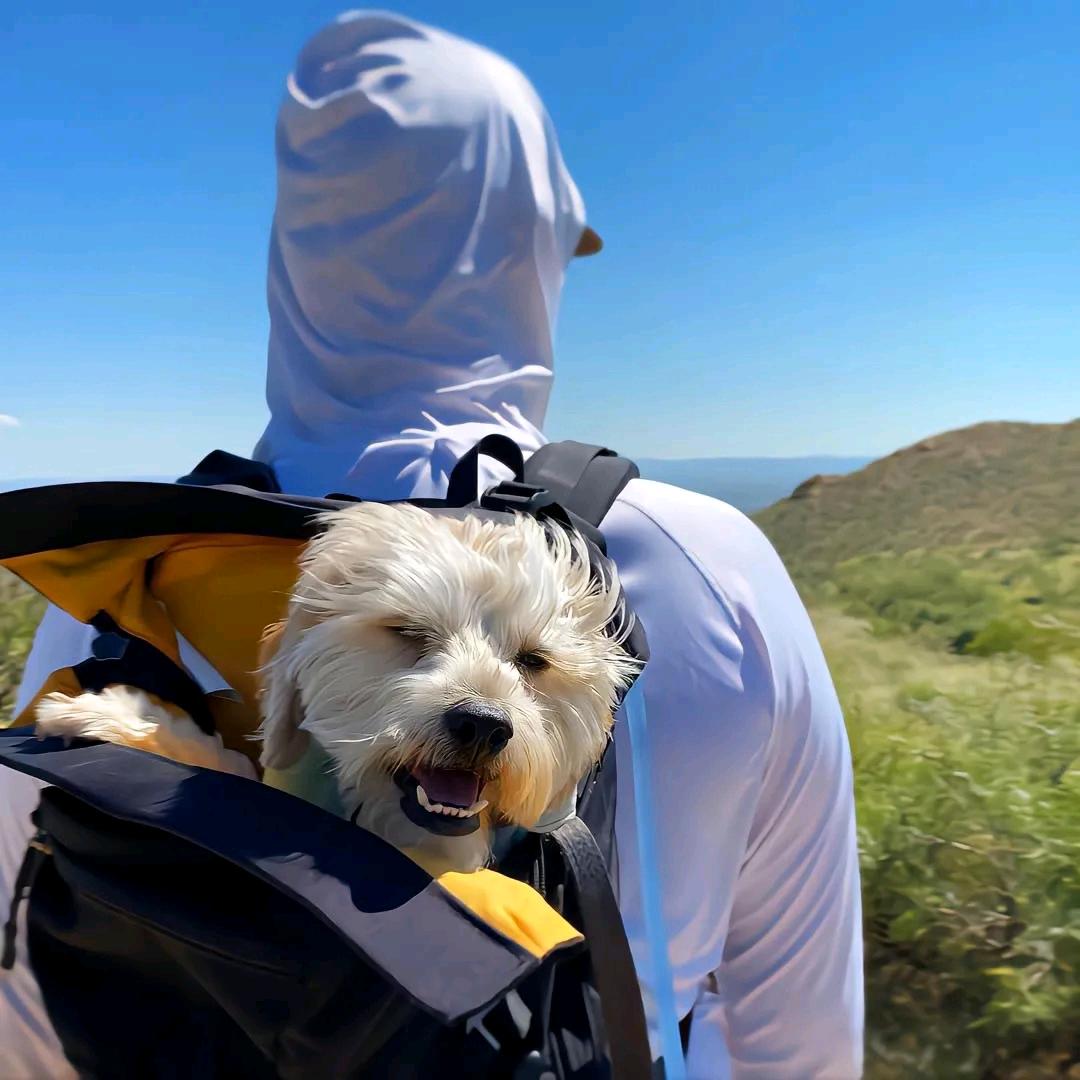 取得联系的Plan25