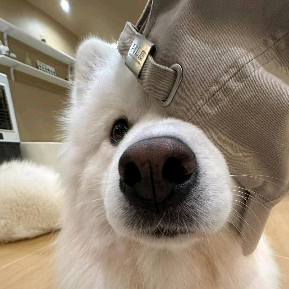 一只鱼^.