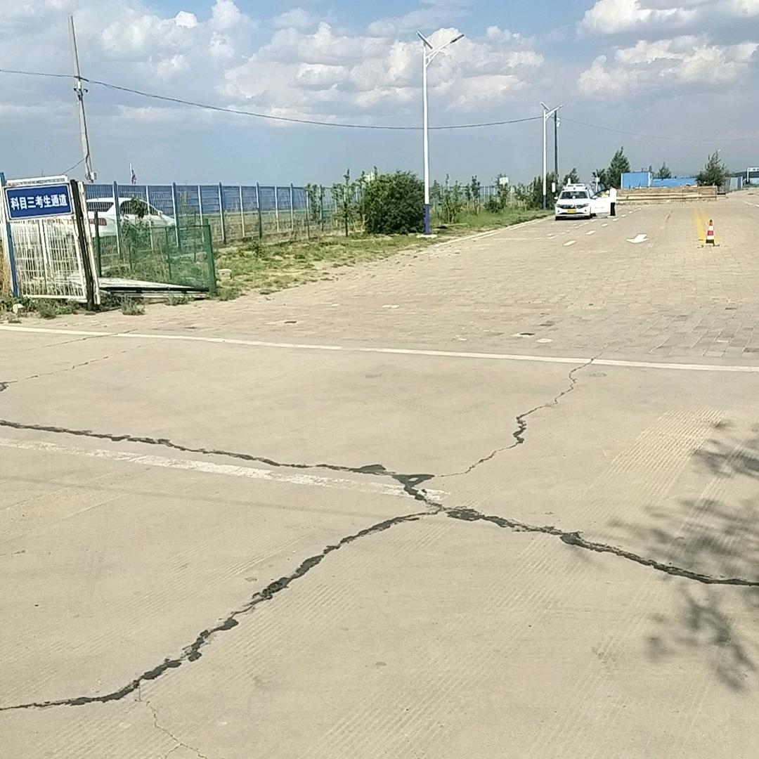 驾校董教练