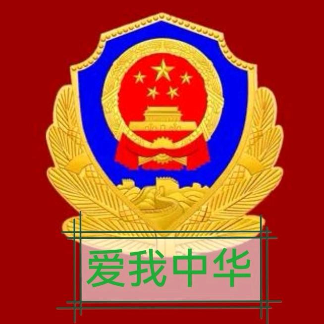 爱我中华